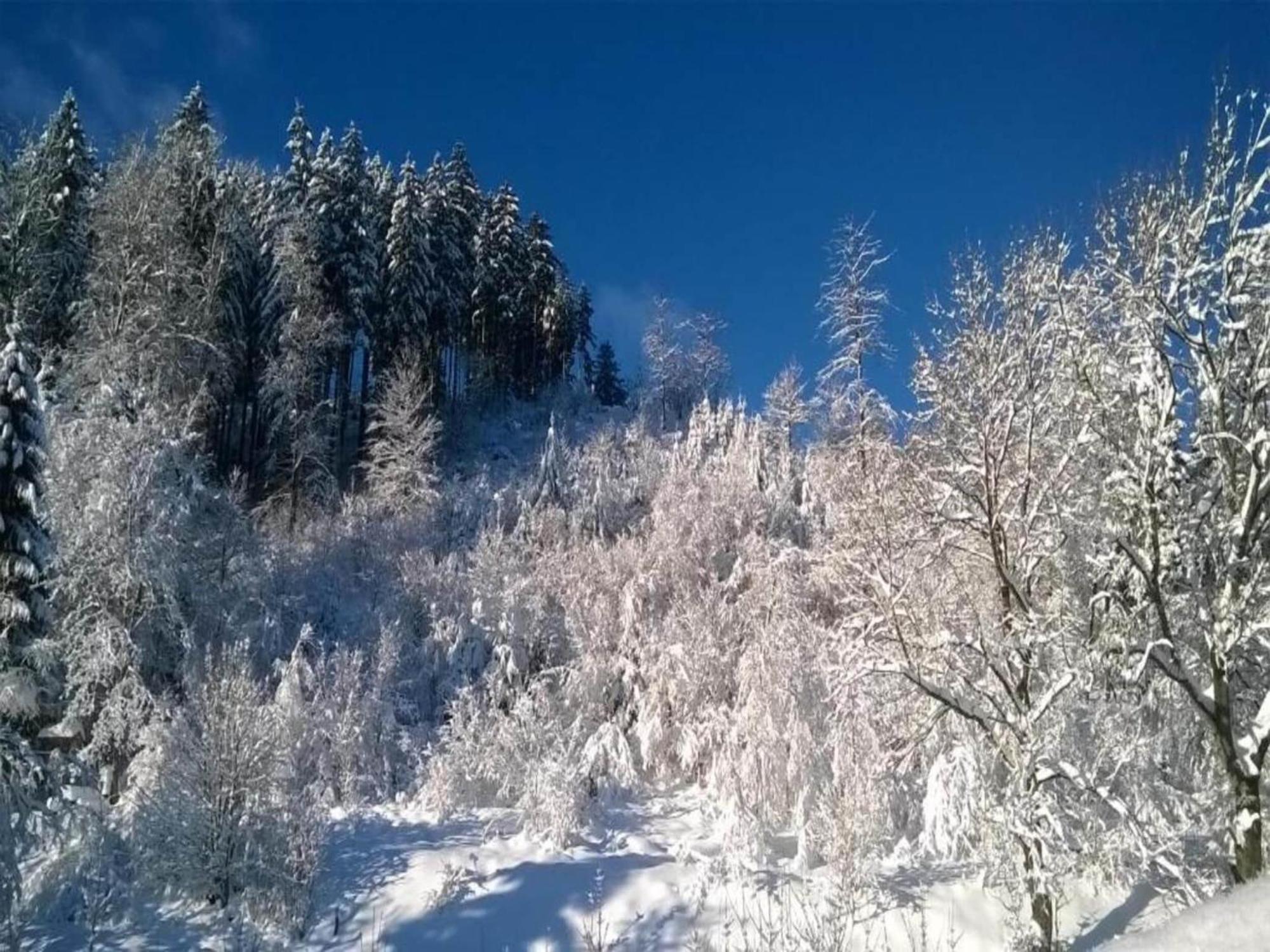 Detached Holiday Residence In The Wonderfully Beautiful Harz Kamschlacken ภายนอก รูปภาพ